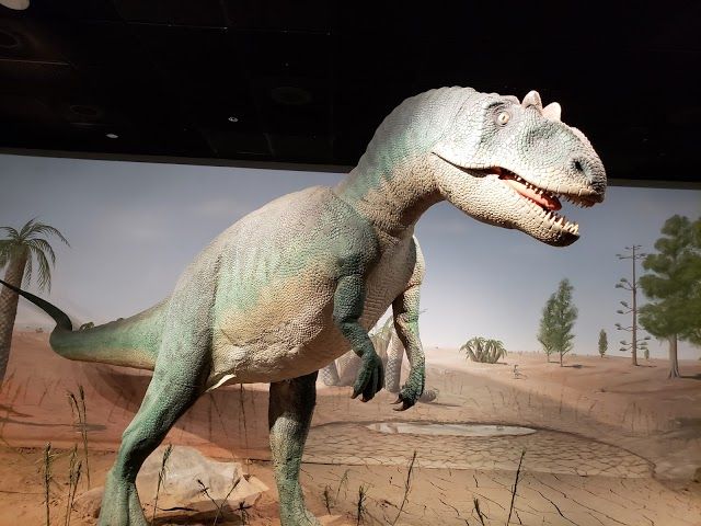 Las Vegas Natural History Museum-3